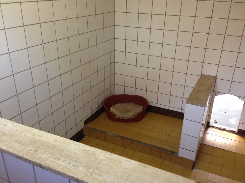 Dierenpension Elshout