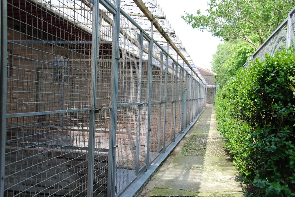 kennel Elshout